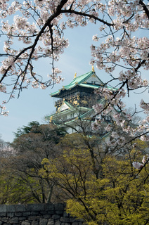大阪城と桜.jpg